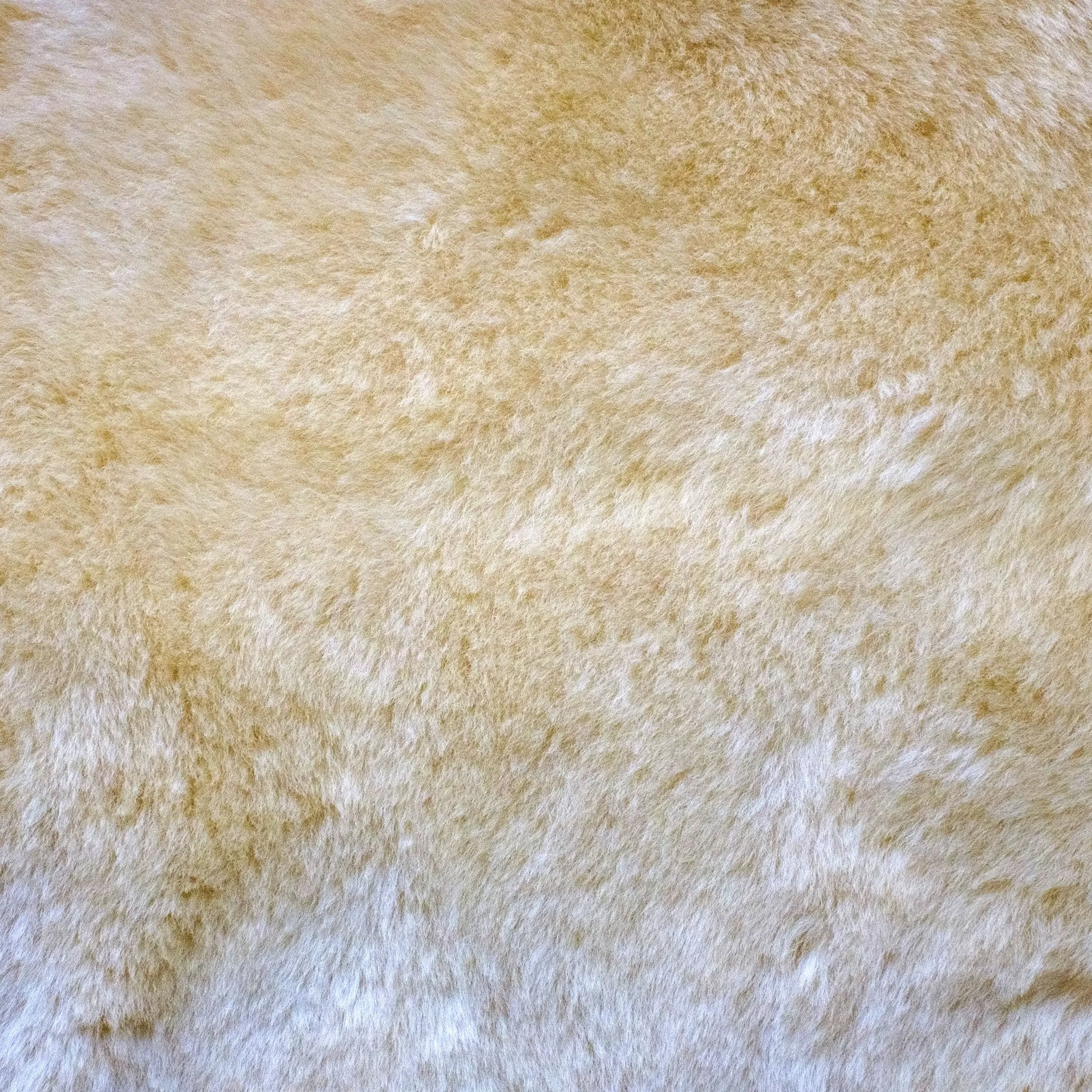 Infantcare Sheepskin Rug in Short Hair by Auskin